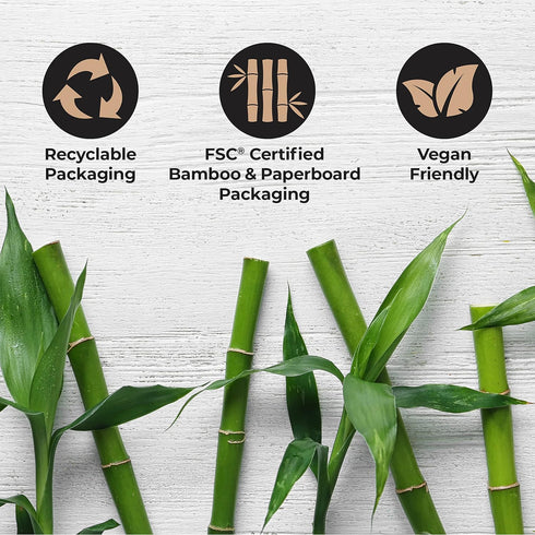 Packaging, 3 Count Reach Clean World Natural Bamboo Toothbrush, Soft Plant-Based Bristles, FSC Certified Bamboo