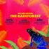 SAVE THE RAINFOREST by SHANTI BALANCE, Best Sellers Variety Pack, 15G Plant Protein, 12 Count