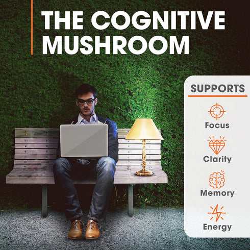 Genius Lions Mane Supplement Capsules, Organic Nootropic, 1200mg per Serving, 120 Veggie Pills