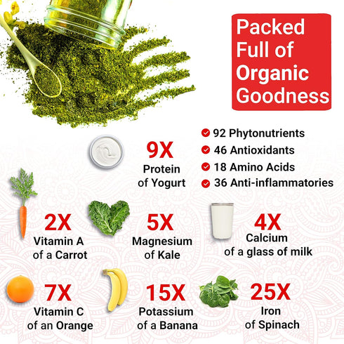 Organic Moringa Capsules - Moringa Oleifera, Natural Herbal Supplement from Moringa Leaves, Certified USDA Organic,