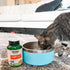 NOW Pet Health L-Lysine Supplement Powder for Cats, NASC Certified, 8-Ounce
