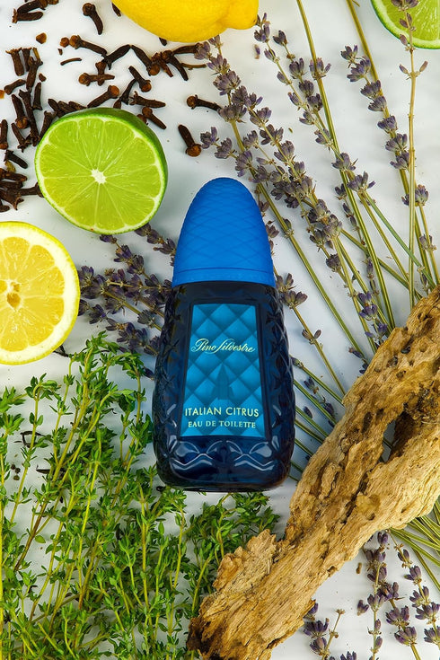 Pino Silvestre Italian Citrus Perfume for Men - 4.2 oz EDT Spray, Woody Aromatic