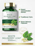 Carlyle Mulberry Leaf Extract | 3000mg | 100 Capsules | Non-GMO & Gluten Free Herbal Supplement