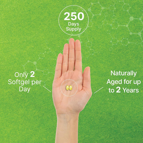 DEAL SUPPLEMENT Odorless Aged Garlic Pills, 6,000mg, 500 Softgels for Heart & Immune Support