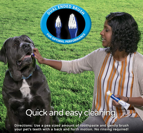 Bluestem Pet Toothbrush Set - 2 Double-Sided Dog and Cat Tooth Brushes for Gentle Teeth Cleaning