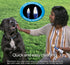Bluestem Pet Toothbrush Set - 2 Double-Sided Dog and Cat Tooth Brushes for Gentle Teeth Cleaning