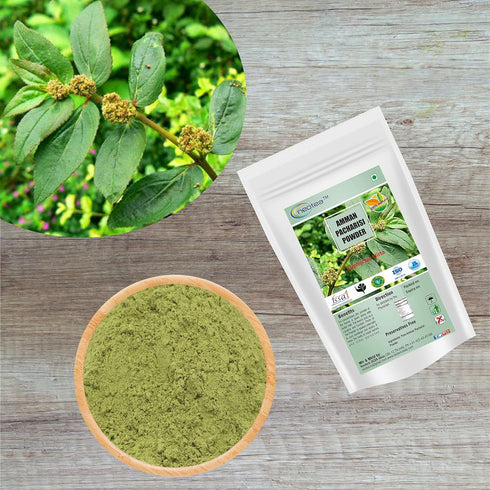 Amman Pacharisi Euphorbia Hirta Powder, 300 GM (10.58 OZ) Pack of 1