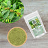 Amman Pacharisi Euphorbia Hirta Powder, 300 GM (10.58 OZ) Pack of 1