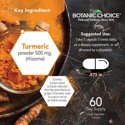 Botanic Choice Premium Turmeric Antioxidant Support, Joint Health Supplement for Adults, 180 Vege Capsules