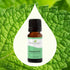 Plant Therapy Peppermint Essential Oil 10 mL (1/3 oz), 100% Pure, Natural Aromatherapy for Skin