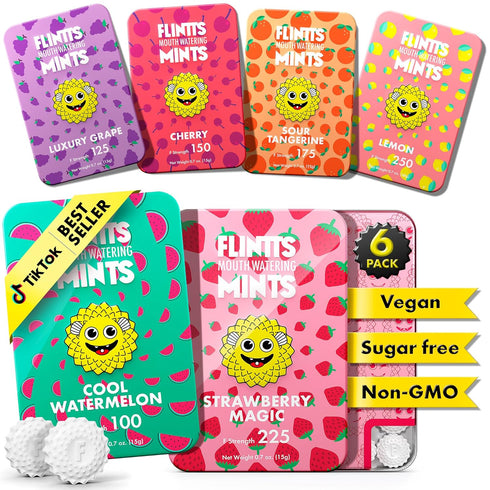 Flintts Mints Fruit Troop Sugar Free Mouthwatering Mints for Dry Mouth Relief