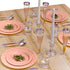 SILVER SPOONS Elegant Disposable Plates For Party - (24 Piece) Heavy Duty Disposable Dinner Set 10.25”, Fine Dining Plastic Dishes For Elegant China Look, Great for celebrations & events, Gold by Silver Spoons