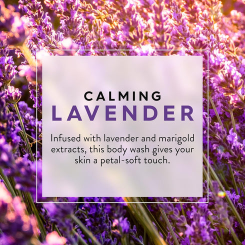 JASON Lavender Calming Body Wash, Gentle Feeling Clean, 30 Fluid Ounces