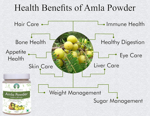 Amla Fruit Powder (Amalaki) 100 Gm | Raw, Non-GMO, Rich in Antioxidant Vitamin C, Vegan from India