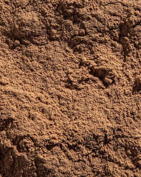 Ora Organic Vegan Protein Powder - 22g Plant Based Chocolate Flavor with Digestive Enzyme, 20 Servings, Gluten Free