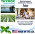 Thymox 1 Gallon Botanical Disinfectant - All Natural Cleaner Mold Remover, Multipurpose Cleaner, Mold Killer - Ideal