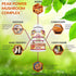 FRESH HEALTHCARE Mushroom Supplement, Lions Mane, Cordyceps, Reishi, Turkey Tail, 90 Vegan Capsules