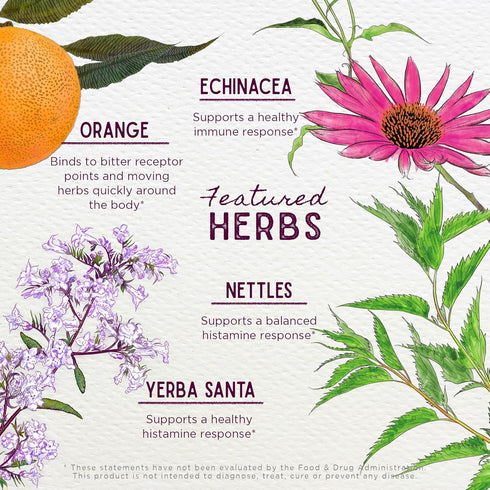 WishGarden Herbs Kick-Ass Allergy - Plant-Based Non-Drowsy Herbal Supplement with Nettle Leaf, Echinacea & Yerba Santa,