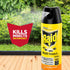 Raid Multi Insect Killer | Orange Breeze 15 Ounce | Pack of 1