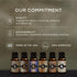 Set 6 10ML Eternal Essence Oils Date Night of Premium Fragrance Oils - Includes PS I Love You, Amber Romance, Secret