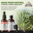 Yucca Tincture, Organic Yucca Extract Herbal Supplement, Non-GMO in Cold-Pressed Vegetable Glycerin, 700 mg