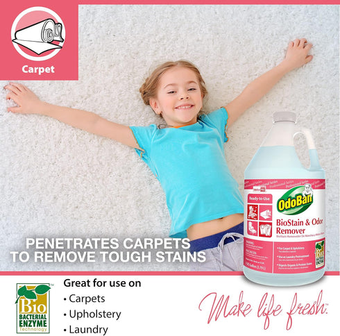 OdoBan Professional Cleaning and Odor Control Solutions, Ready-to-Use Biostain and Odor Remover, 32 oz