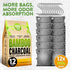 Charcoal Odor Absorber for Strong Odor, Large, 12 Pack, 100g Each, Bamboo Charcoal Purifying Bag