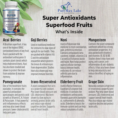 Super Antioxidant Fruit Superfood Complex - 60 Capsules of Powerful Antioxidant Superfruits for Immune Support and Skin
