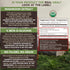 Longevity Botanicals Organic Maitake Mushroom Capsules, Ultra Concentrated Supplement for Balanced Immune System, 100%