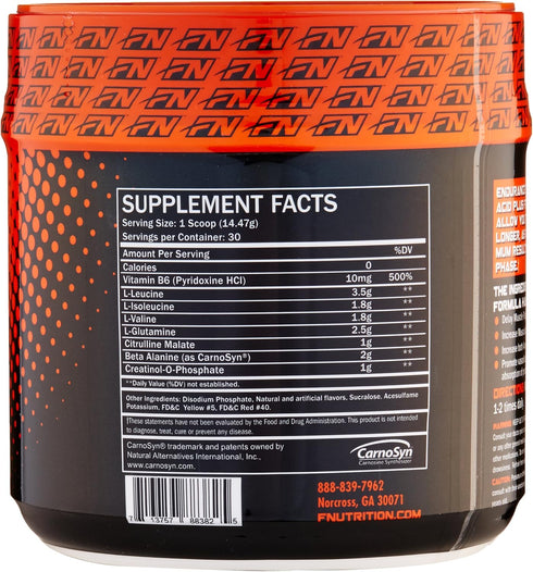 Endurance BCAA Plus - Designed for Training Harder with Beta Alanine - Orange, 434 Gram
