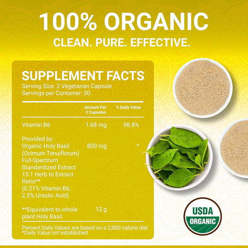Holy Basil Capsules - USDA Organic Vitamin B6 Capsules | High Strength Vitamin B6 and 2.5% Ursolic Acid | 60 Vegan Pills
