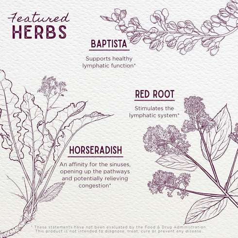 WishGarden Herbs Kick-Ass Sinus, Herbal Relief for Adults, Natural Sinus Decongestant, 2oz