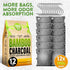Charcoal Odor Absorber for Strong Odor, Large, 12 Pack, 100g Each, Bamboo Charcoal Purifying Bag