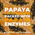 Earth Circle Organics Papaya Seed Powder Capsules, Papain Supplement for Digestion & Gut Health - 60 Vegan Capsules