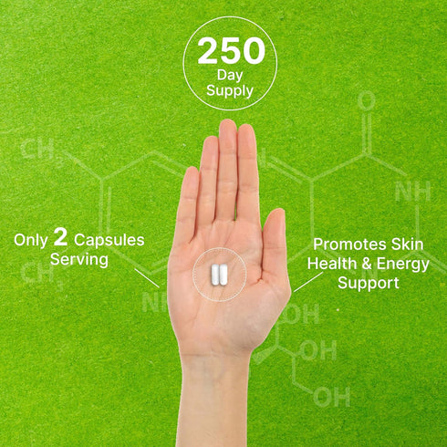 Vitamin B3 Nicotinamide 1,000mg - 500 Capsules, Flush Free Niacin for Healthy Skin & Energy Production, Non-GMO