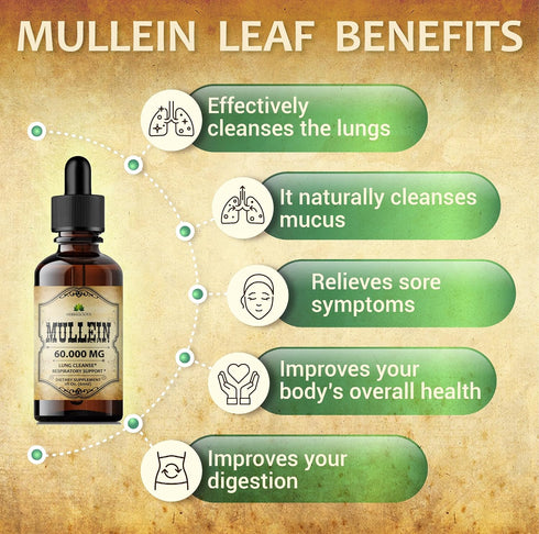 Mullein Leaf Extract - Verbascum Thapsus Liquid Supplement for Lung Detox and Respiratory Health (2 fl. Oz)