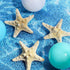 Syhood 4 Pcs Resin Starfish Hair Clip, Mermaid Hair Accessories for Women, Costume Jewelry