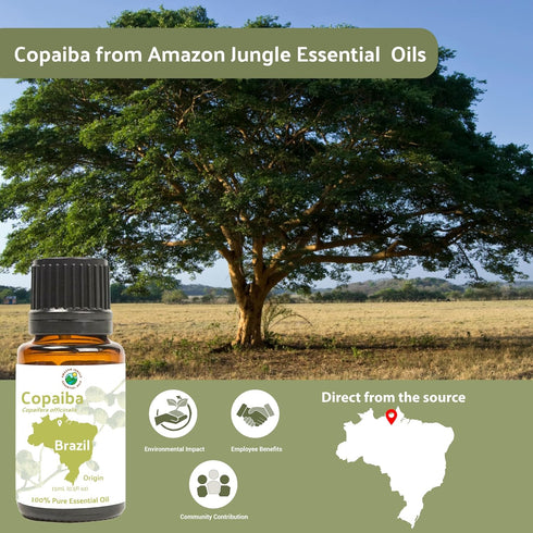Copaiba Essential Oil - Pure Essential Oil from Brazil for Diffusers at Home | 100% Therapeutic Grade (15ml)