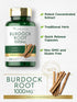 Carlyle Burdock Root | 1000 mg | 200 Non-GMO Capsules | Traditional Herb Supplement