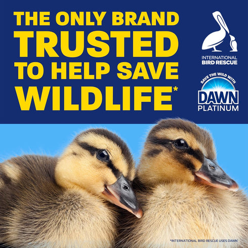 Dawn Dish Soap Platinum, Refreshing Rain Scent, Includes 3x24oz + 2 Non-Scratch Sponges (Packaging May Vary)
