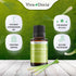 Viva Doria 100% Pure Lemongrass Essential Oil, Undiluted, Food Grade, 15 mL (0.5 Fluid Ounce)