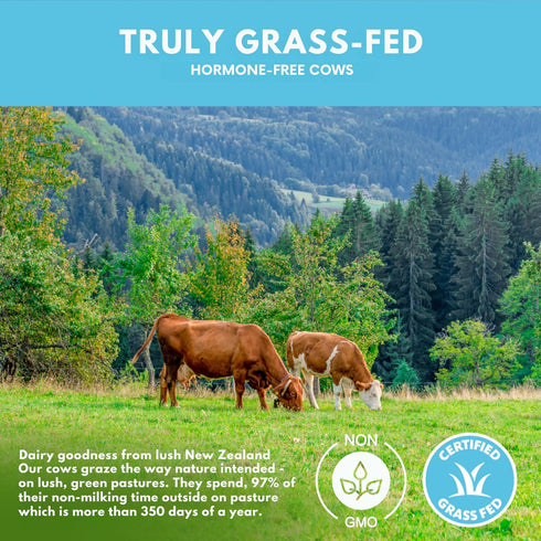 Opportuniteas Grass Fed Chocolate Whey Protein Isolate Powder - 20g Protein - 1lb, Non-GMO, Hormone-Free