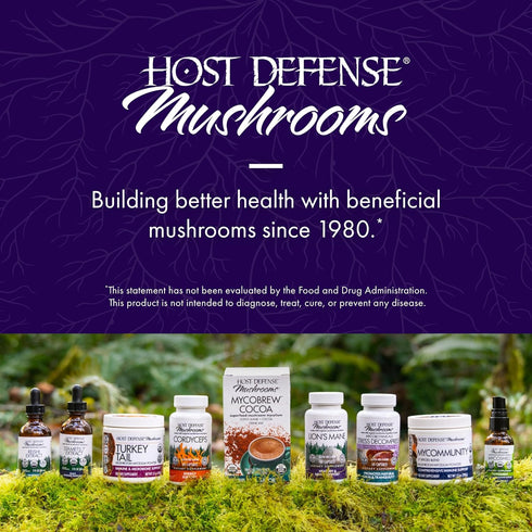 Host Defense MycoBotanicals Brain & Body Powder - 3.5 oz Supplement with Lion's Mane & Reishi for Memory & Focus