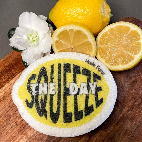 3Pack Lemon Dish Sponges, Fun Fruit Design, Natural & Biodegradable, Odor Resistant & Non-Scratch