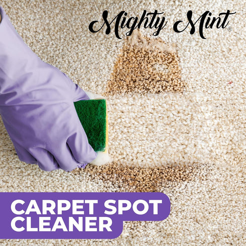 Mighty Mint Carpet Spot Cleaner, 16oz Non-Toxic Spray with Natural Peppermint Scent to Remove Carpet Stains Instantly