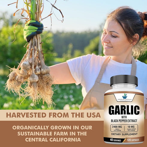 American Standard Supplements Garlic 2400mg with Black Pepper Extract - 120 Vegan Non-GMO Gluten Free Capsules, 40