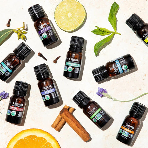 Cliganic Organic Essential Oils Blend - Happily Grounded - Breath of Balance (Packaging May Vary)