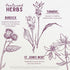 Inflammatory 4oz WishGarden Herbs Deep Recovery - Natural Herbal Muscle, Tissue & Joint Support Supplement