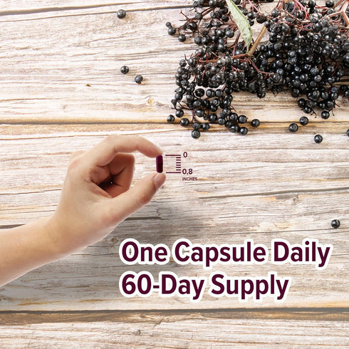 ORZAX Elderberry Capsules, Immune Support Supplement with Vitamin C and Zinc, 60 Vegetable Capsules
