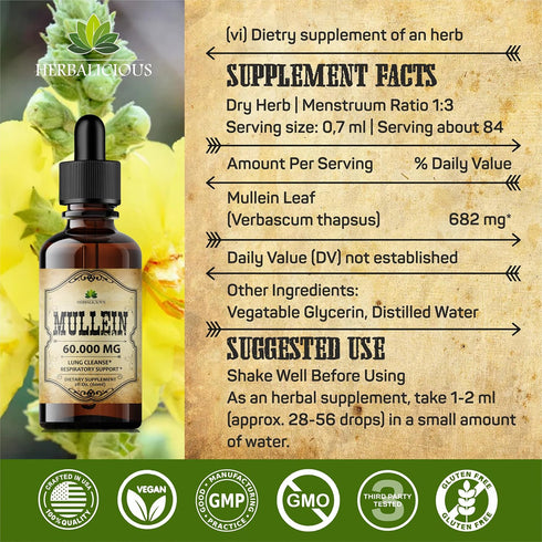 Mullein Leaf Extract - Verbascum Thapsus Liquid Supplement for Lung Detox and Respiratory Health (2 fl. Oz)